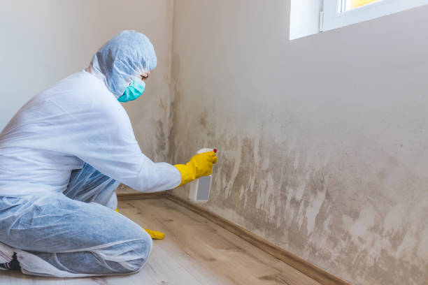 Licensed Mold Remediation service in Saratoga, NC - Mold Remediation HQ
