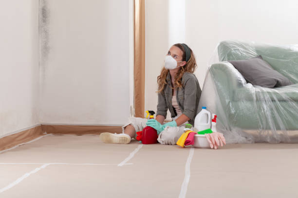 Reliable Mold Remediation contractor in Saratoga, NC by Mold Remediation HQ